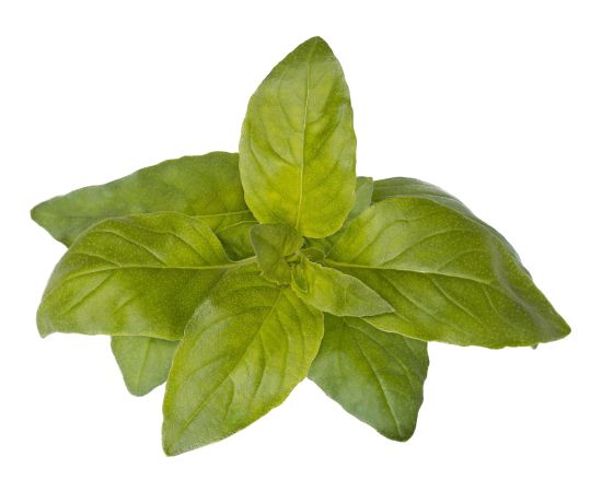 Click & Grow Smart Garden refill Лимонный базилик 3 шт.