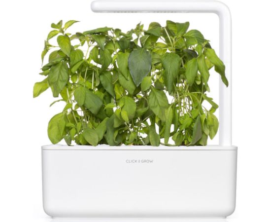 Click & Grow Smart Garden refill Лимонный базилик 3 шт.