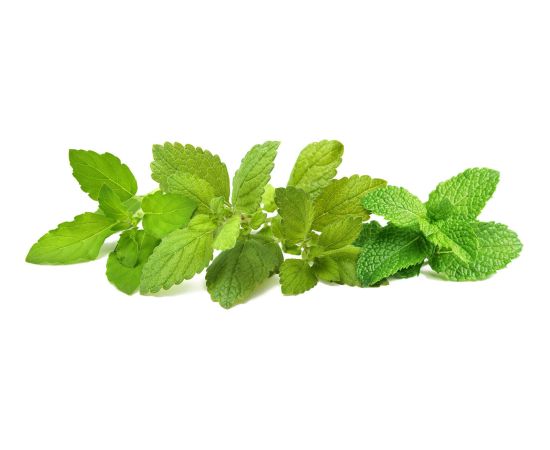 Click & Grow Plant Pod Calming Tea Mix 9pcs