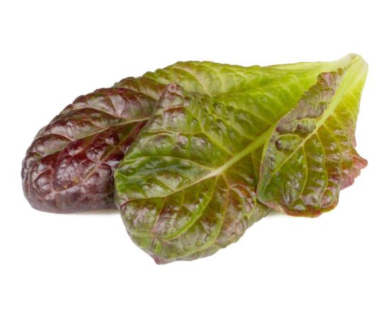 Click & Grow Smart Refill Red romaine lettuce 3pcs