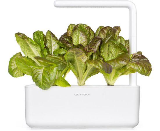 Click & Grow Smart Refill Red romaine lettuce 3pcs