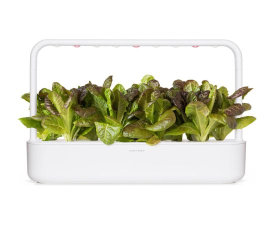 Click & Grow Smart Refill Red romaine lettuce 3pcs