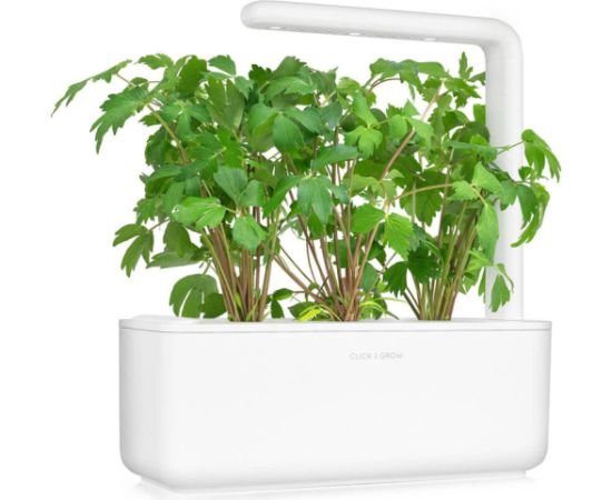 Click & Grow Smart Garden refill Lovage 3pcs