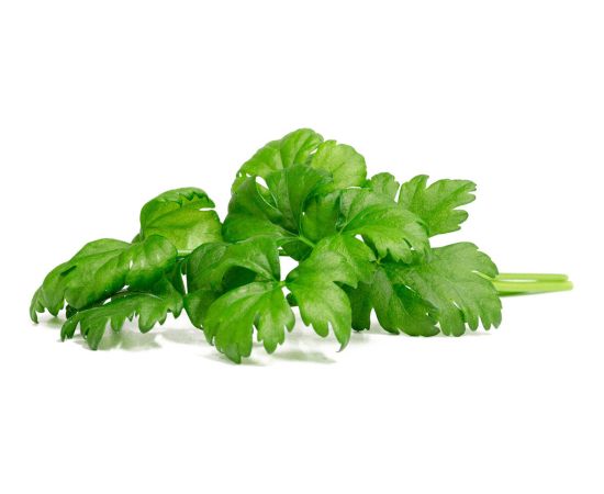 Click & Grow Smart Garden Refill Leaf Celery 3pcs