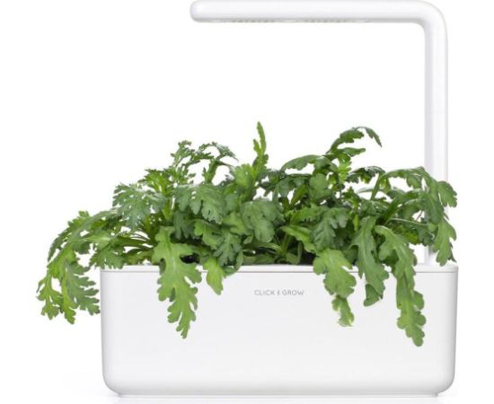 Click & Grow Smart Garden refill Shungiku 3pcs