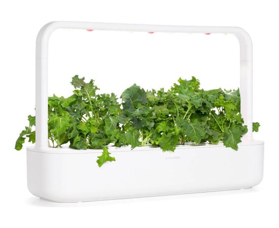 Click & Grow Smart Refill Green Kale 3pcs