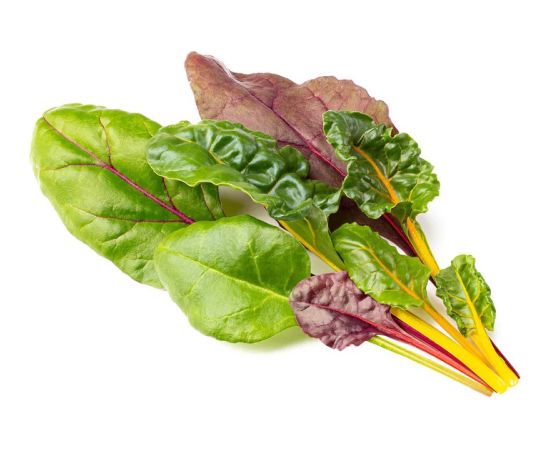 Click & Grow Smart Refill Rainbow Chard 3pcs