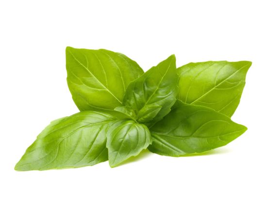 Click & Grow Smart Refill Lemon Basil 3pcs