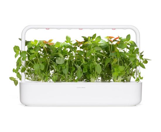 Click & Grow Smart Refill Lemon Basil 3pcs