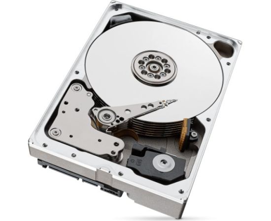 Seagate IronWolf Pro ST10000NT001 internal hard drive 3.5" 10 TB