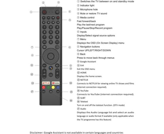 Distancinis RCU voice for eSTAR Android TVs Nr.6