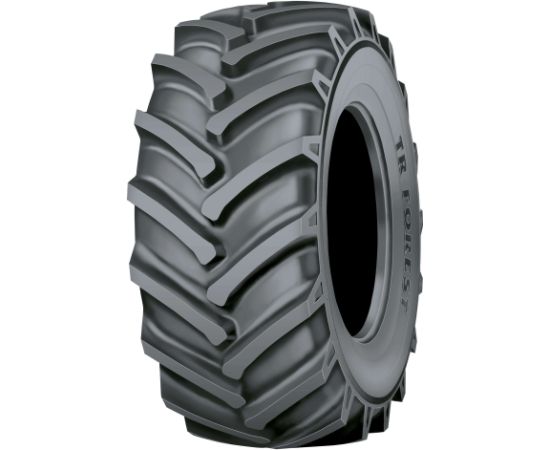 650/65R38 NOKIAN TR MULTIPLUS 164A8/160B TL