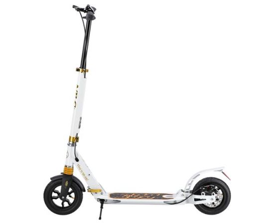 Skrejritenis HM209T WHITE-GOLD SCOOTER NILS EXTREME