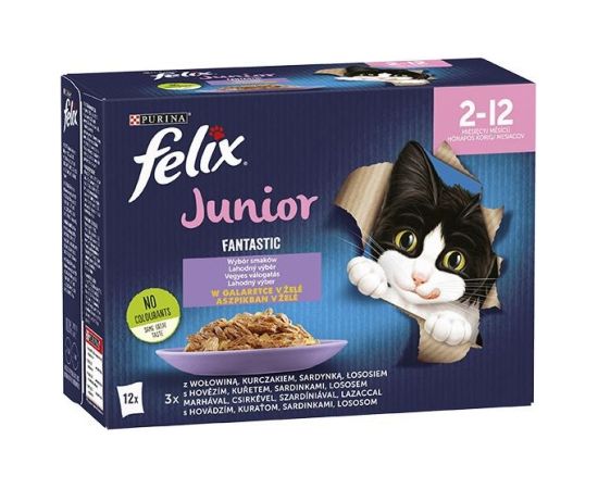 Purina Felix Fantastic jelly food for kittens in jelly beef, chicken, salmon, sardine - 12x 85 g
