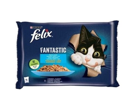 Purina Felix Fantastic Salmon in Jelly + Plaice in Jelly 4x85 g