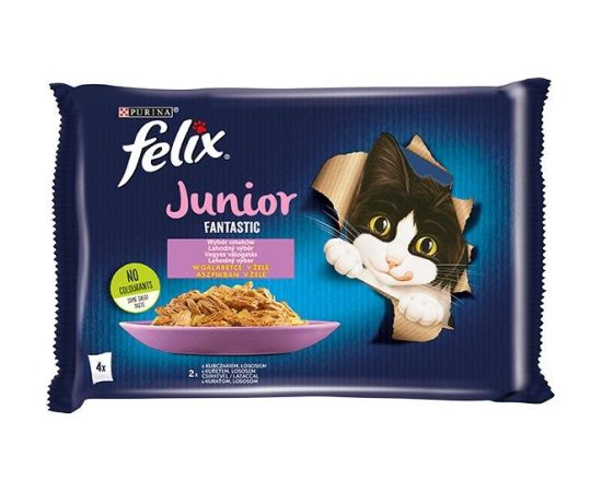 Purina Felix Fantastic Junior rural flavors in jelly - chicken, salmon - 340g (4x 85 g)