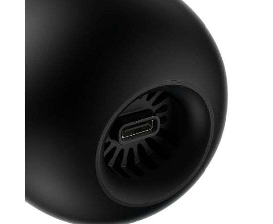 Cordless Car Vacuum Cleaner Baseus A2Pro 6000Pa (black)
