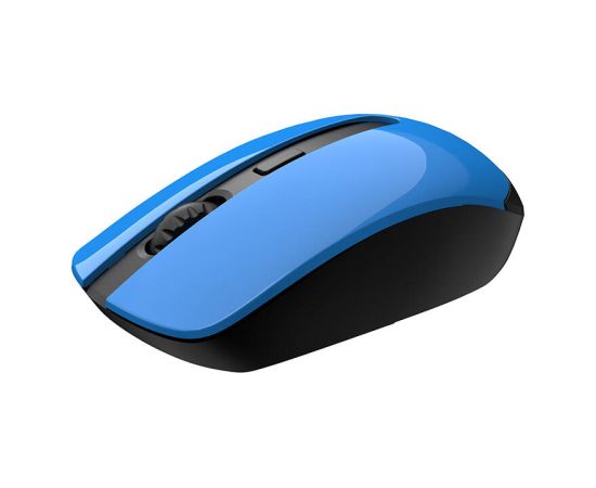 Wireless Mouse Havit HV-MS989GT