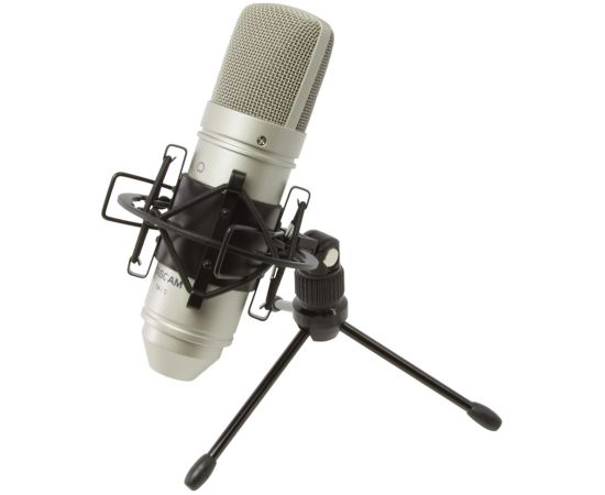Tascam TM-80 microphone Gold Studio microphone