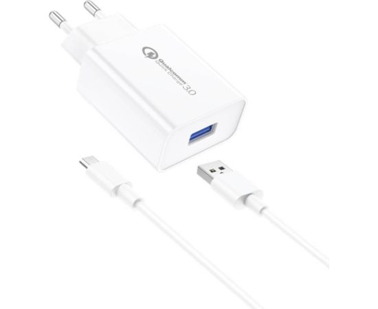 Wall Charger Foneng EU13  + USB to Micro USB Cable, 3A (White)