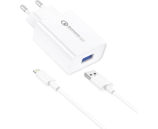 Foneng EU13 Wall Charger + USB to Lightning Cable, 3A (White)