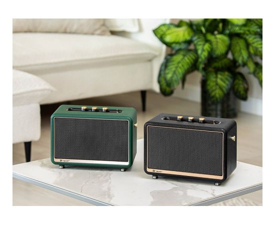 Tracer M30 speaker TWS bluetooth 30W black TRAGLO47246