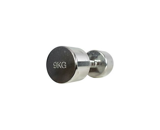 Chrome Dumbbells Proud 9 kg