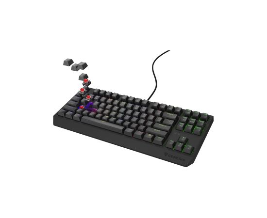 Klaviatūra Genesis Thor 230 TKL RGB Outemu Red