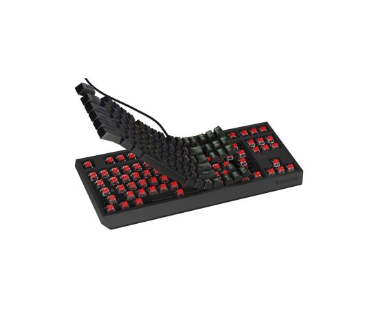 Klaviatūra Genesis Thor 230 TKL RGB Outemu Red