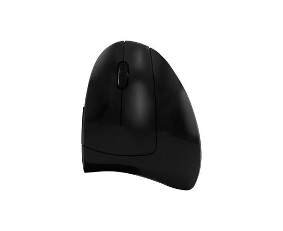 Wireless vertical mouse Havit MS550GT 800-1600 DPI (black)