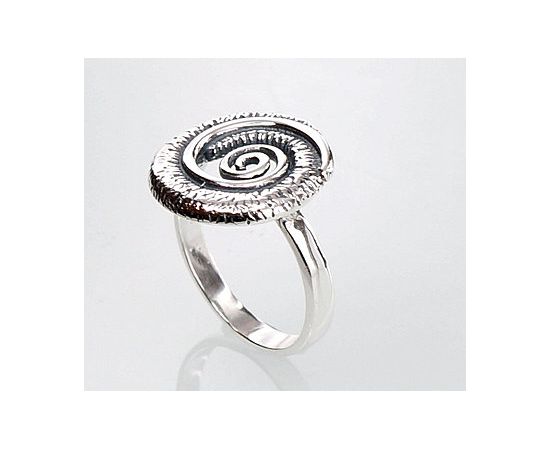 Sudraba gredzens #2100675, Sudrabs 925°, Izmērs: 17, 4 gr. Sieviešu