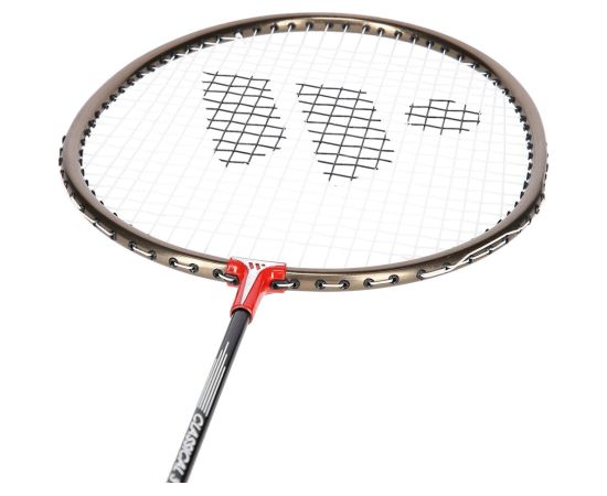 Wish Alumtec 316K badminton racket set
