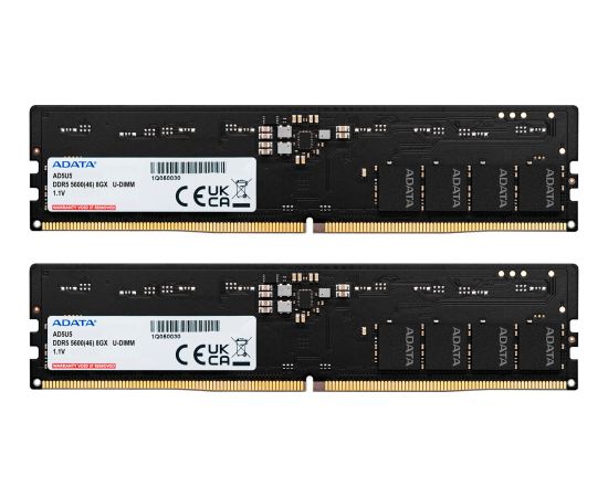 ADATA DDR5 - 16GB - 5600 - CL - 46 (2x 8 GB) dual kit, RAM (black, AD5U56008G-DT, Premier Tray)