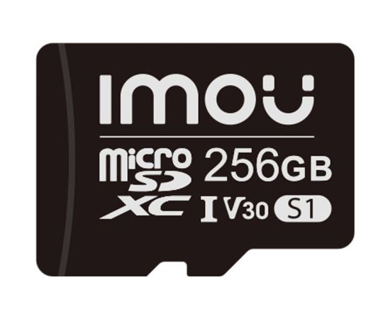 Memory card IMOU 256GB microSD (UHS-I, SDHC, 10/U3/V30, 95/38)