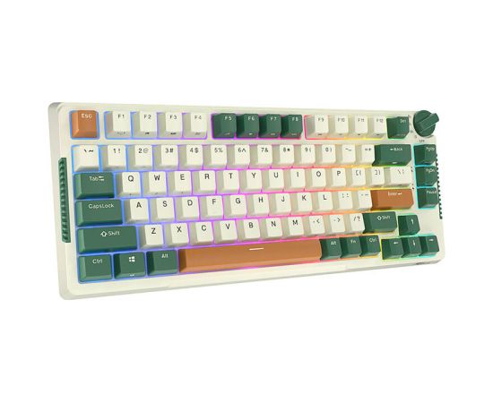 Wireless mechanical keyboard Royal Kludge RKH81 RGB, Sky cyan switch (green)