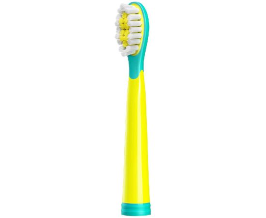 Bitvae Sonic toothbrush with replaceable tip BV 2001 (blue/yellow)