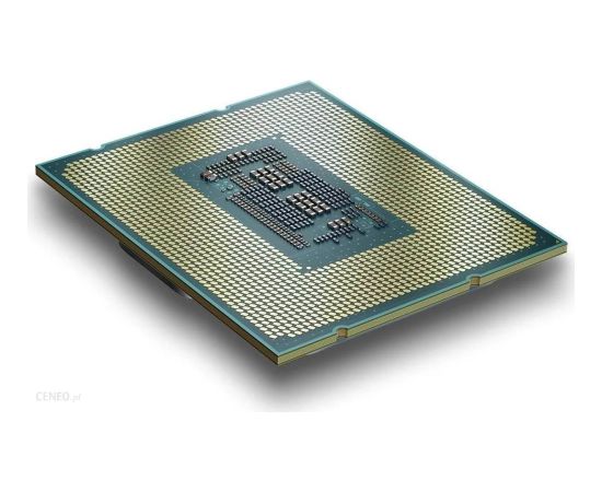 Intel Processor 300 3900 - Socket 1700 - processor TRAY (zero version)