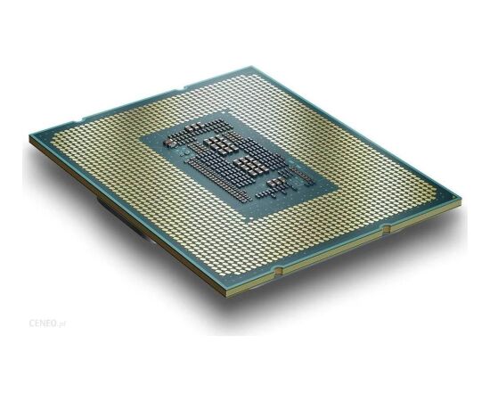 Intel Processor 300 3900 - Socket 1700 - processor TRAY (zero version) Procesori