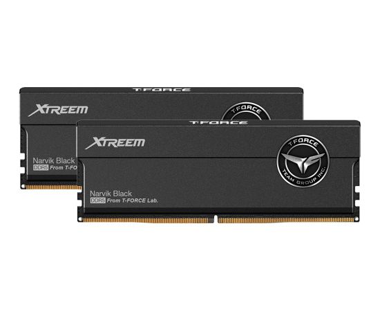 Team Group DDR5 - 32GB - 8000 - CL - 38 (2x 16 GB) dual kit, RAM (black, FFXD532G8000HC38DDC01, XTREEM, INTEL XMP, AMD EXPO)
