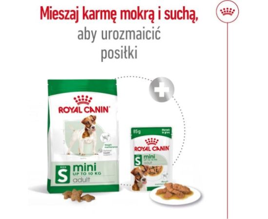 ROYAL CANIN Adult Mini S - dry dog food - 8kg