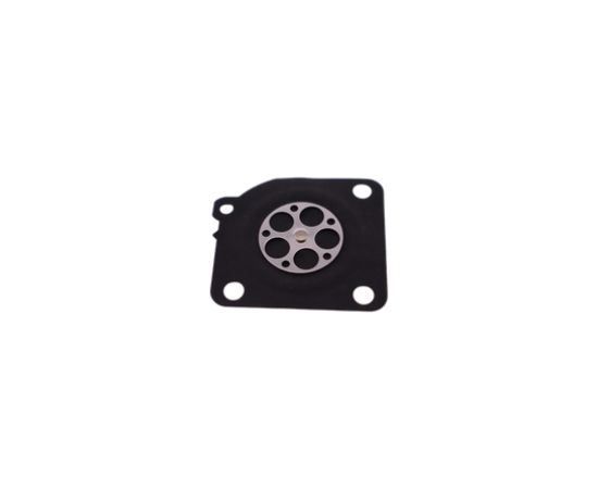 DIAPHRAGM, ECHO