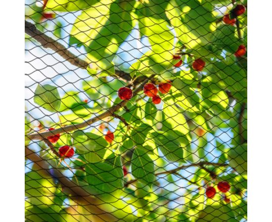 Сетка от птиц Springos AB0002 8x20м 20 якорей Защитная экипировка