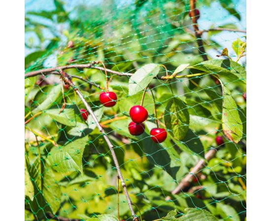 Сетка от птиц Springos AB0002 8x20м 20 якорей Защитная экипировка