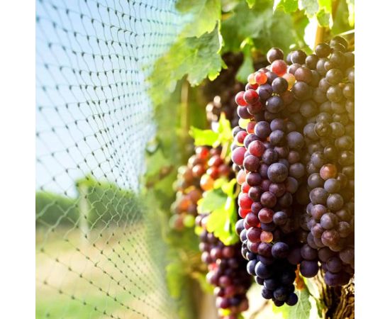 Сетка от птиц Springos AB0002 8x20м 20 якорей Защитная экипировка