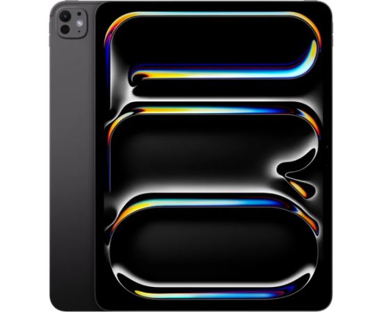 Apple iPad Pro 13" M4 WiFi 256GB with Standard glass - Space Black