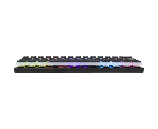 White Shark GK-2202 Ashiko Black/Blue US