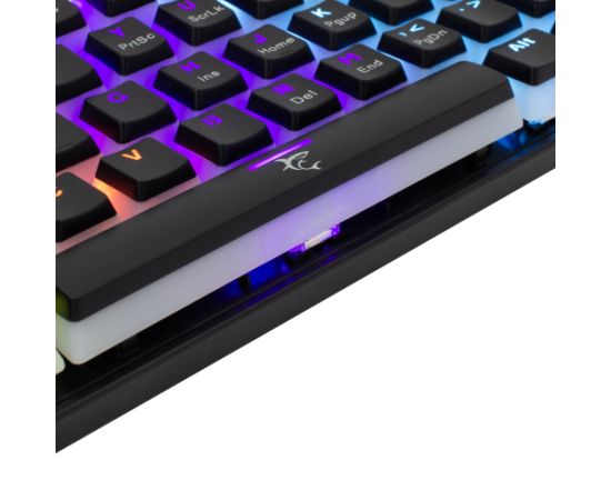 White Shark GK-2202 Ashiko Black/Blue US