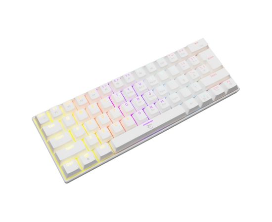 White Shark Shinobi GK-2022 Blue switch, White US