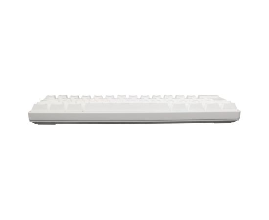 White Shark Shinobi GK-2022 Blue switch, White US