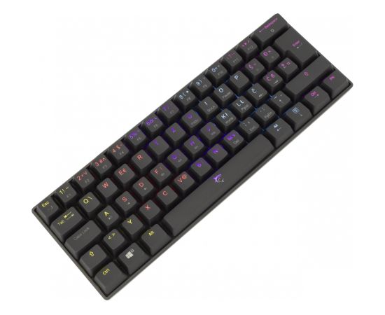 White Shark Shinobi GK-2022 Blue Switch, Black US